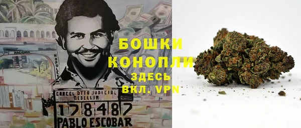 ECSTASY Инсар
