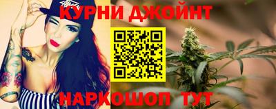 крисы Кулебаки