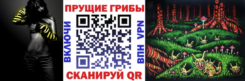 Галлюциногенные грибы прущие грибы  Кингисепп 
