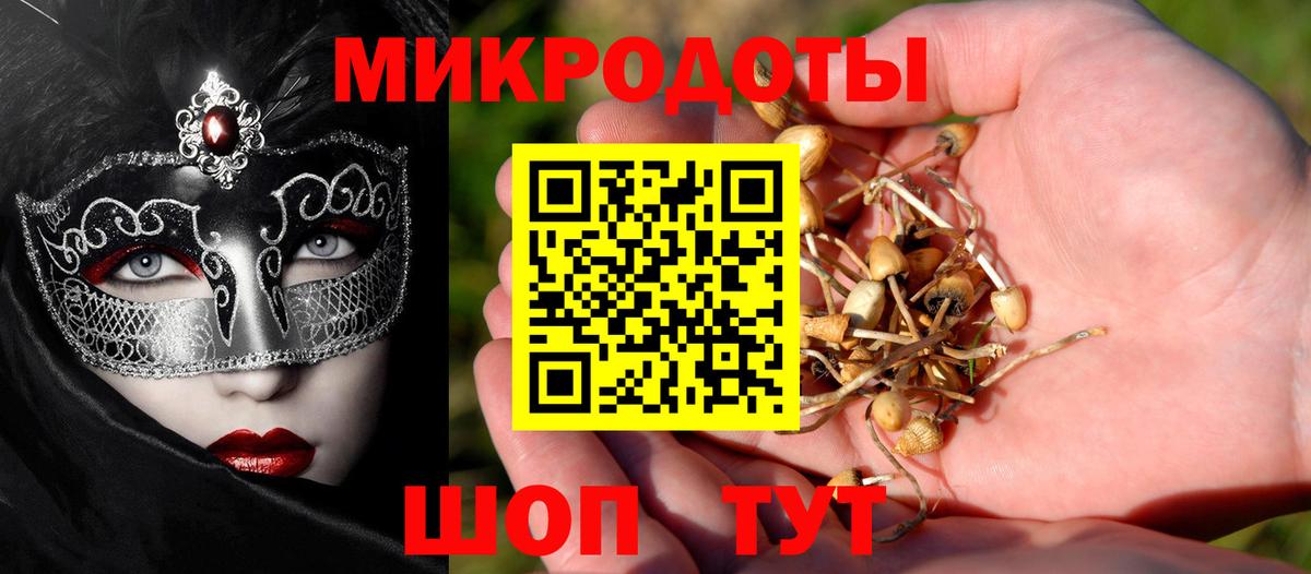 Кингисепп  Галлюциногенные грибы Magic Shrooms  Галлюциногенные грибы мухоморы  Вход с VPN 
